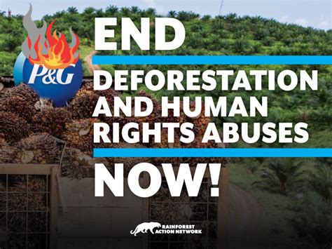 procter and gamble human rights violations|Procter & Gamble Again Fails Forests, Climate, and Human Rights.